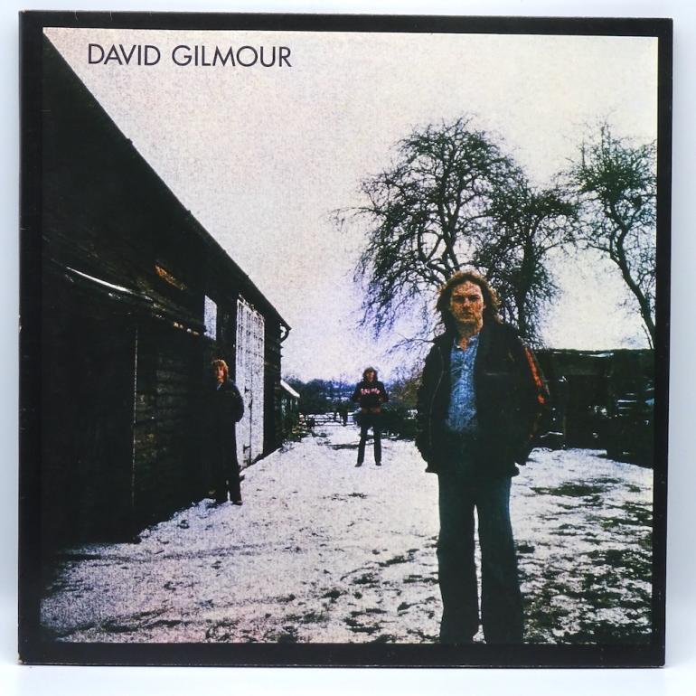 David Gilmour / David Gilmour  --  LP 33 rpm - Made in ITALY 1978 - HARVEST/EMI RECORDS - 3C 064-60774 - OPEN LP