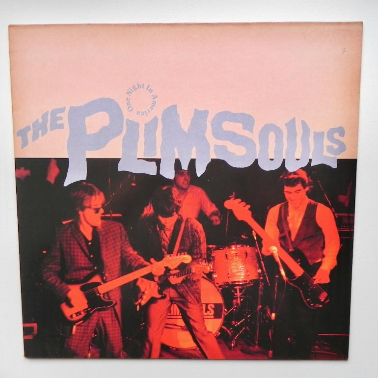 One Night in America / The Plimsouls  --  LP 33 rpm - Made in FRANCE 1989 - FAN CLUB RECORDS - FC 048  - OPEN LP